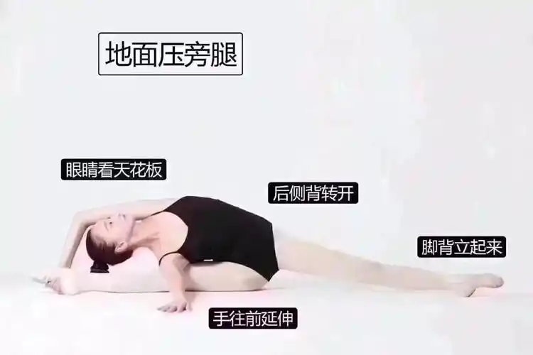 乐舞舞蹈基本功示范图即讲解