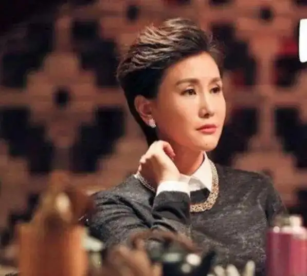 曾经的"警花"丧夫4年后 把自己整成了高晓松