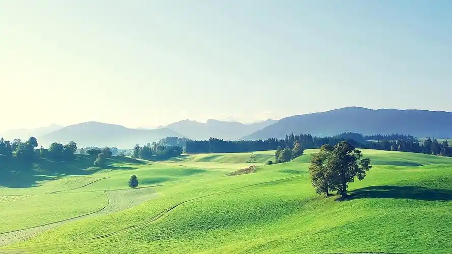 首页 桌面壁纸 植物壁纸 唯美壮丽的自然风景摄影高清宽屏壁纸