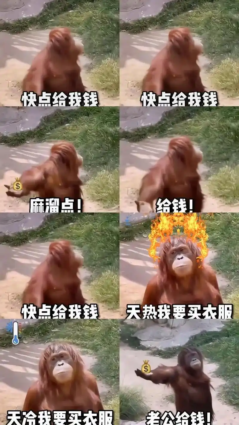 表情包 #老公给钱表情包 #发给对象表情包 #要零花钱表情 - 抖音