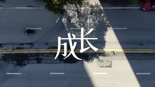 股林秘笈:成长还是价值?