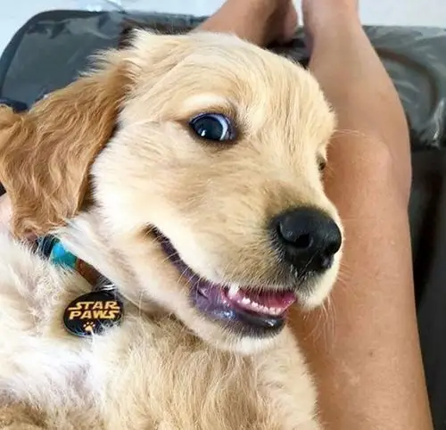 都是能萌化人心的小可爱