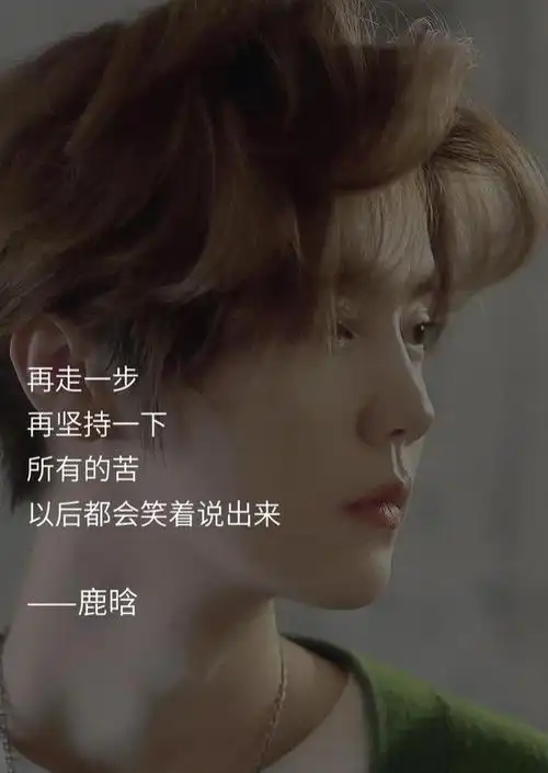 赞美鹿晗的唯美句子 关于鹿晗的短句文案(图21)