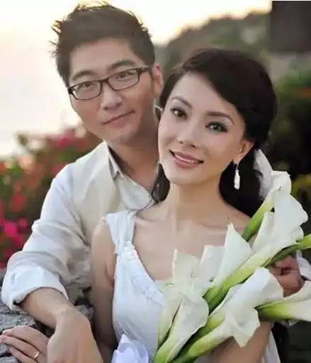 陈数与鹿晗什么关系(陈数与鹿晗是什么关系)-天晟网