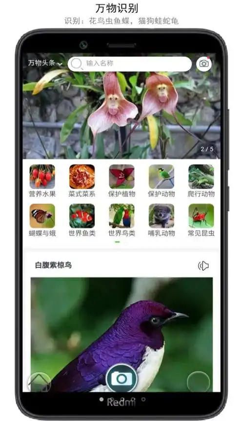 万物识别app安卓版