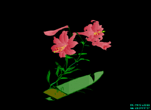 摄影 动态植物 风景 花朵 闪图闪字 .