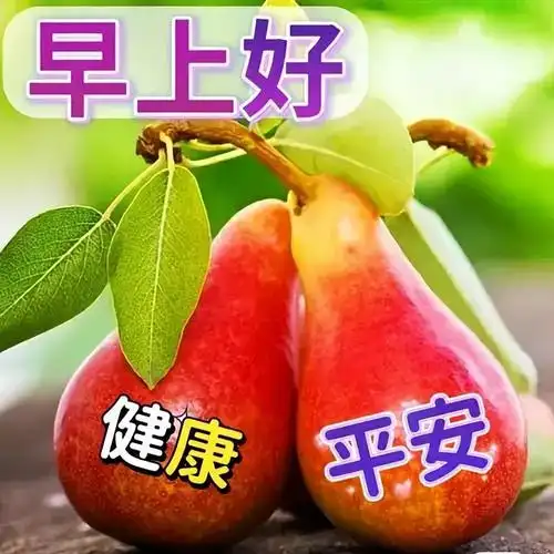 早安夫妻祝福语简短1