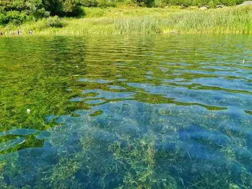 湖水清澈的见底,水里的青草清晰可见.