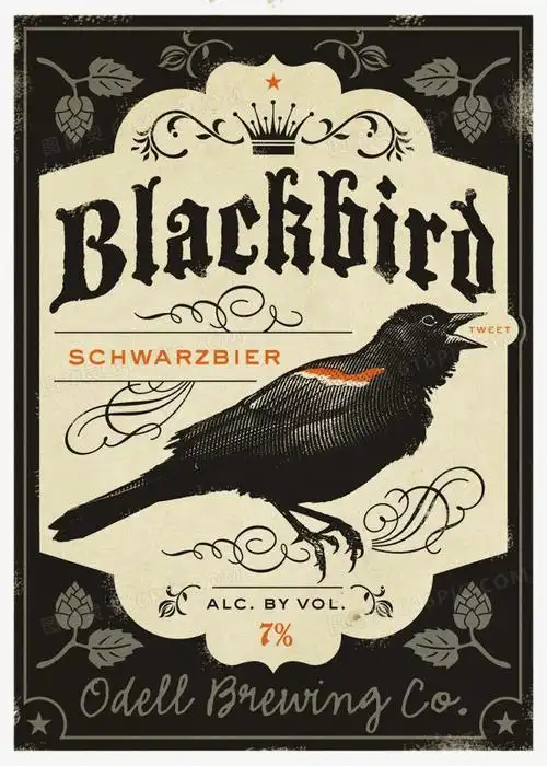 杂志封面图片免费下载_png素材_编号1l0i5kxg1_图精灵