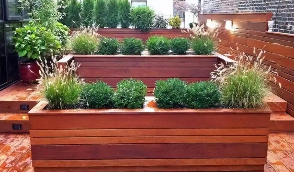 「干货」春和花香意随缘,庭院花池养护技巧