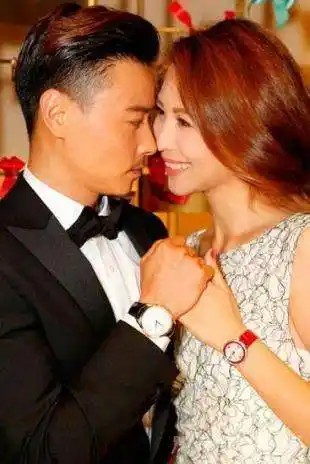 蔡少芬个人资料精选内热,以及蔡少芬刘銮雄怎么回事