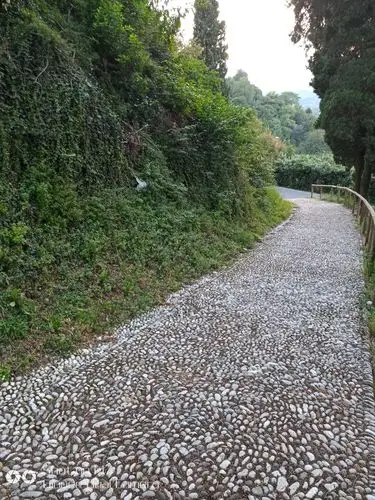 鹅卵石铺设的路