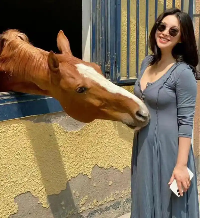 朱珠孕期照片很有母性光辉,感觉女明星怀孕身材和平时没多大变化