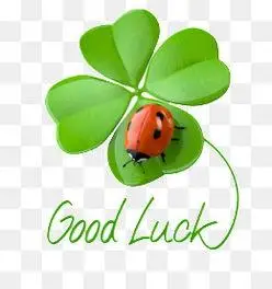 四叶草图片头像带字 - 搜狗图片搜索