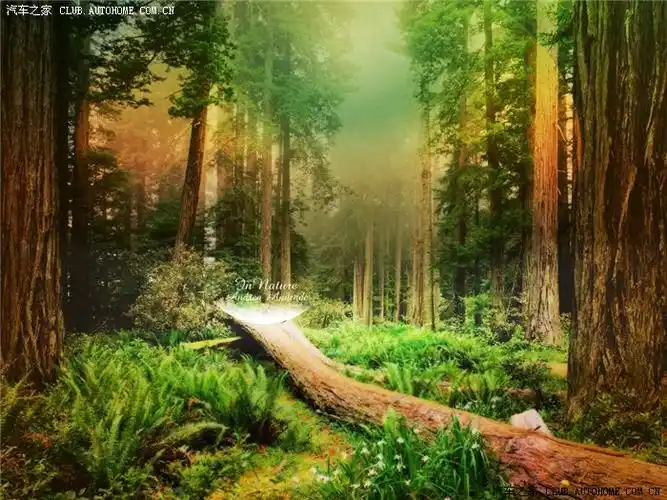 美轮美奂的梦中仙境28p