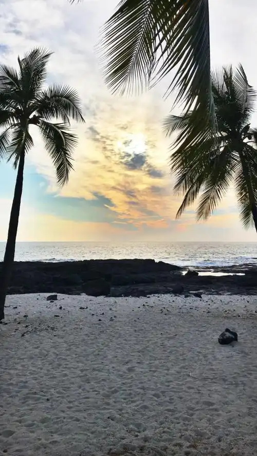海景沙滩棕榈树热带风景7