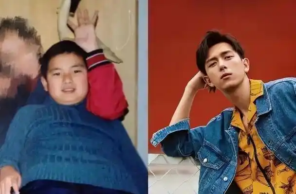 "小减瘦身,大减换人":陈飞宇曾"胖成球",向佐旧照不敢认!