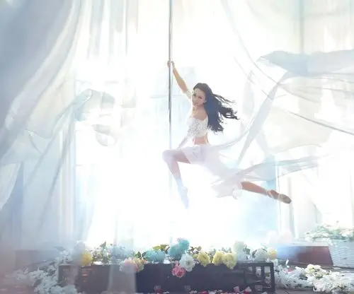 刘芯语:钢管上的精灵 让钢管舞成为唯美的艺术品(图文)