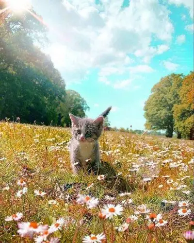 让人治愈的微笑