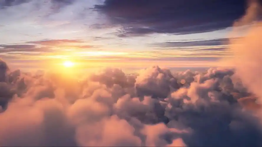 wallpaperengine动态壁纸推荐微笑向暖安之若素