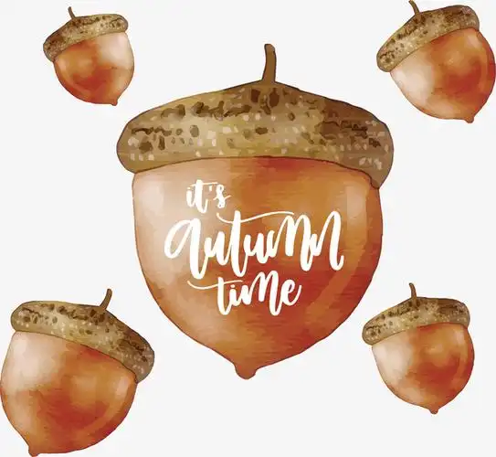 手绘松果秋日海报免抠素材免费下载_觅元素51yuansu.com