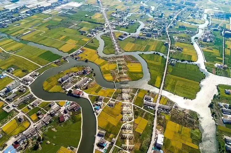 文汇报副总编辑缪克构忆故乡苍南龙港