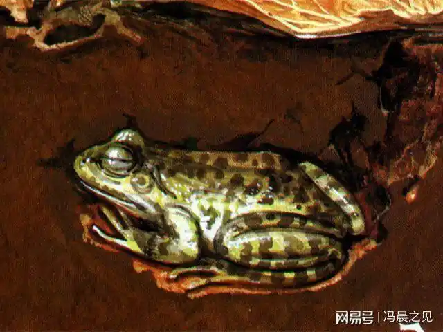 原创:七绝一首·冬眠(青蛙)_网易订阅