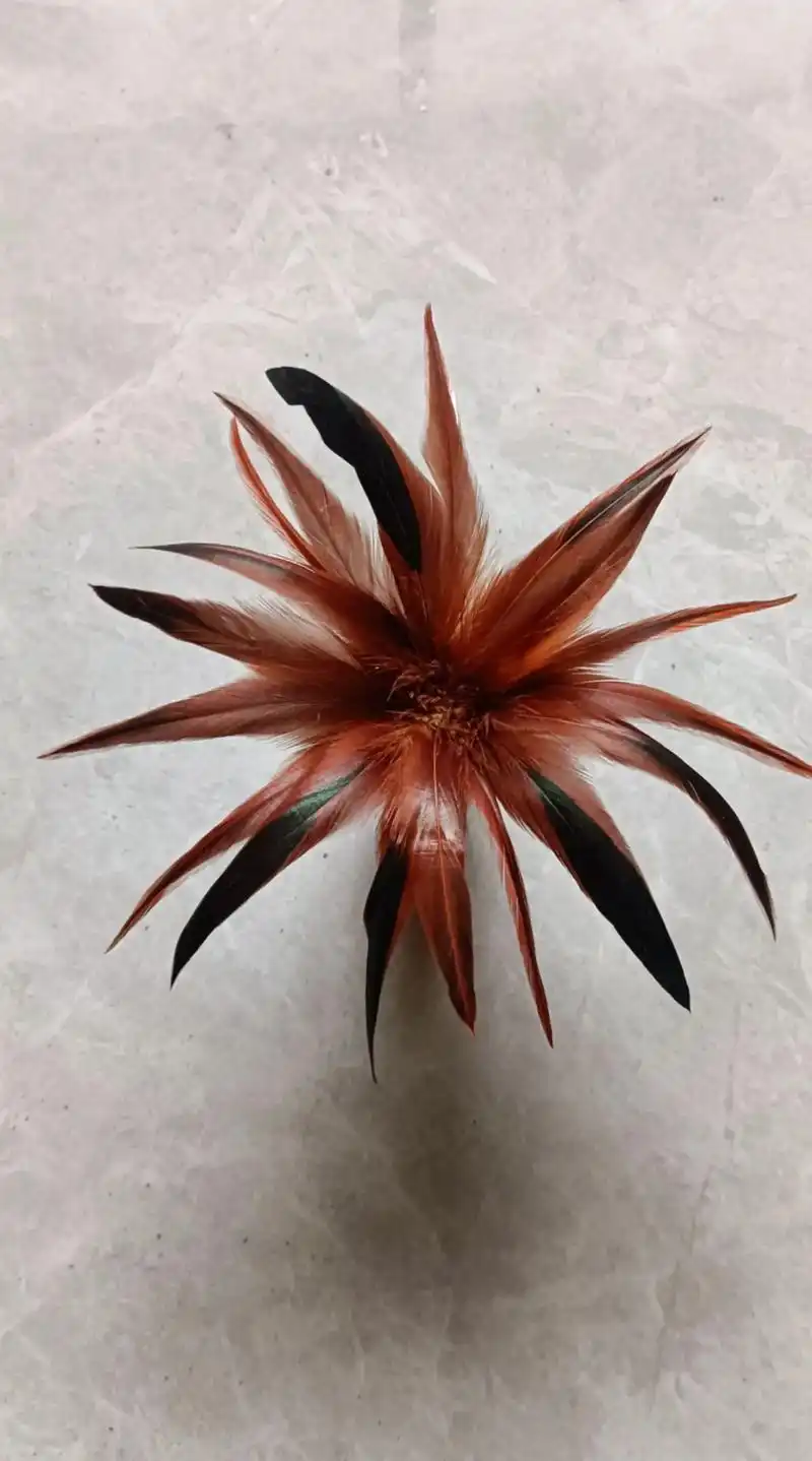 养了十年的大公鸡出了,用鸡毛做个毽子留做纪念,毕竟十年了也有 - 抖