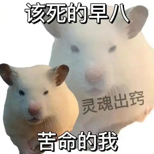 聊天搞笑表情包:爱宝回来吧 拿图请顺便吱一声 很难有动力发图了