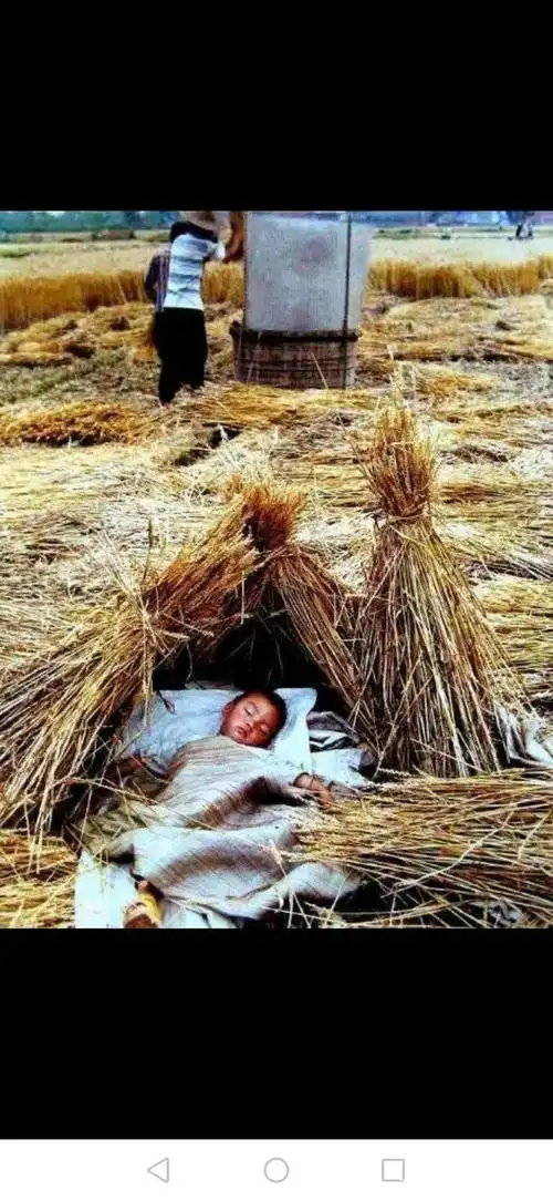 在过去的农村里, 传着这首歌谣: 土坯墙来茅草房, 碰到下雨无处藏.