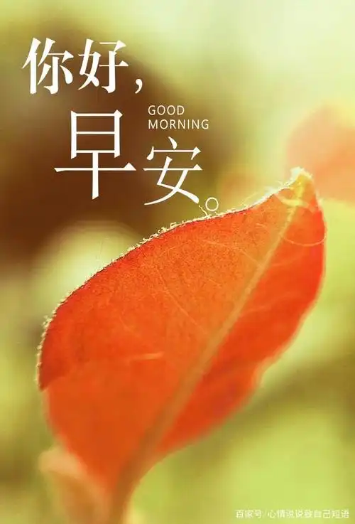 早安语录适合发朋友圈早安的句子2020,经典精辟,励志共勉!