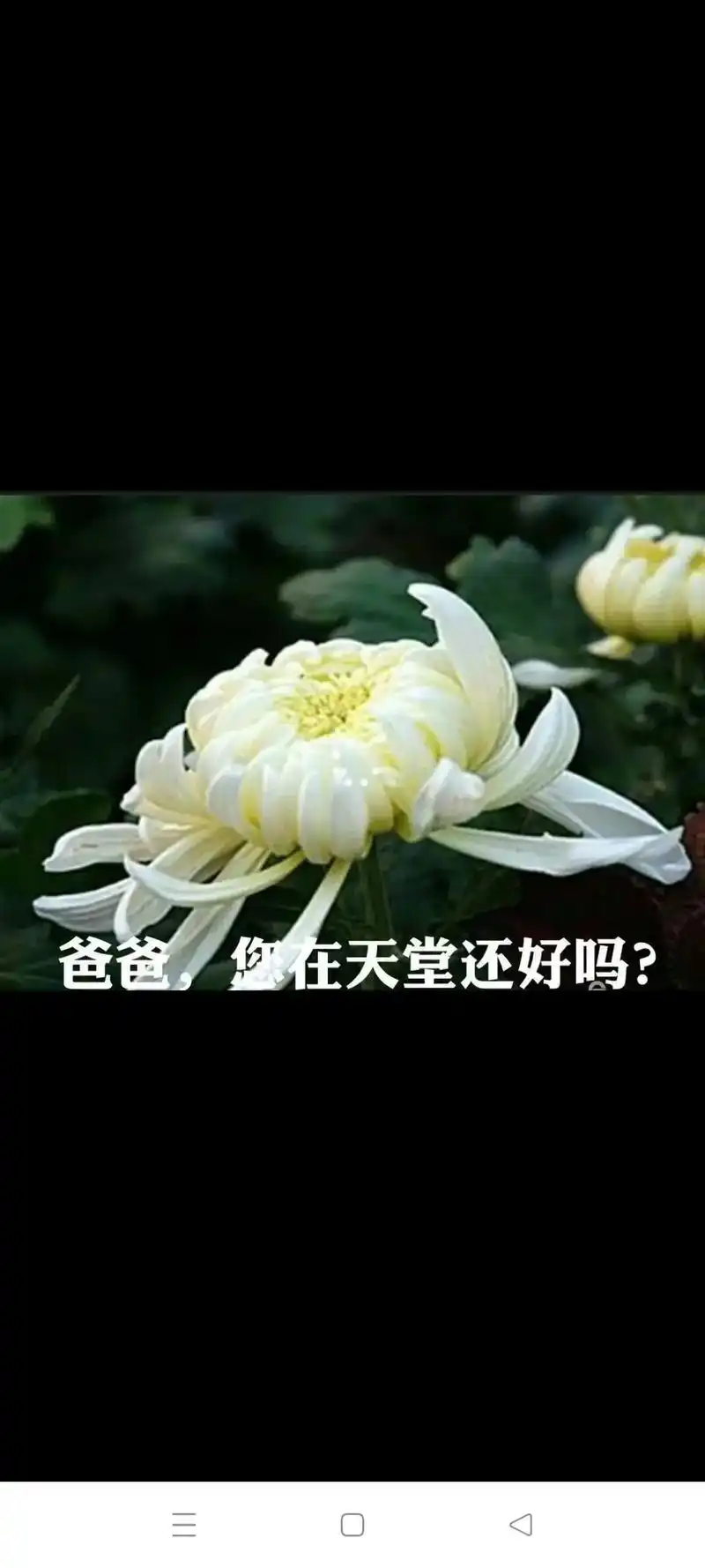 清明节到了,想念天堂的爸爸,时间可以淡忘一切,但淡忘不了思念 - 抖音