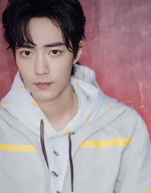 自从2019年出演了角色"北堂墨染"而广受大家关注以来,肖战在演艺事业