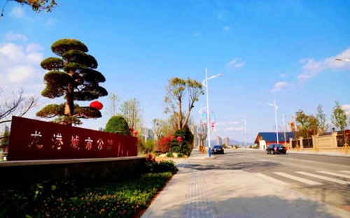 苍南龙港造城记:三十年三次跨越