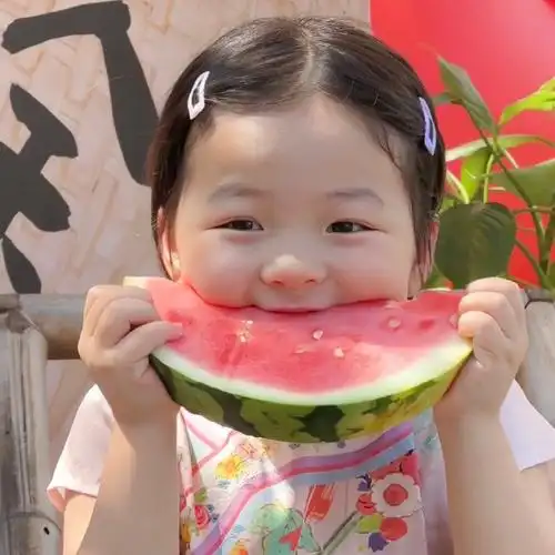 自截自修丸子妹头像