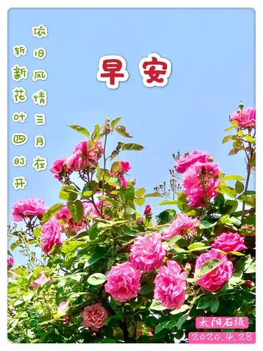 《2020年》早安集锦(二)