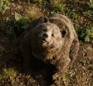 看完这部新片,我给好莱坞跪了