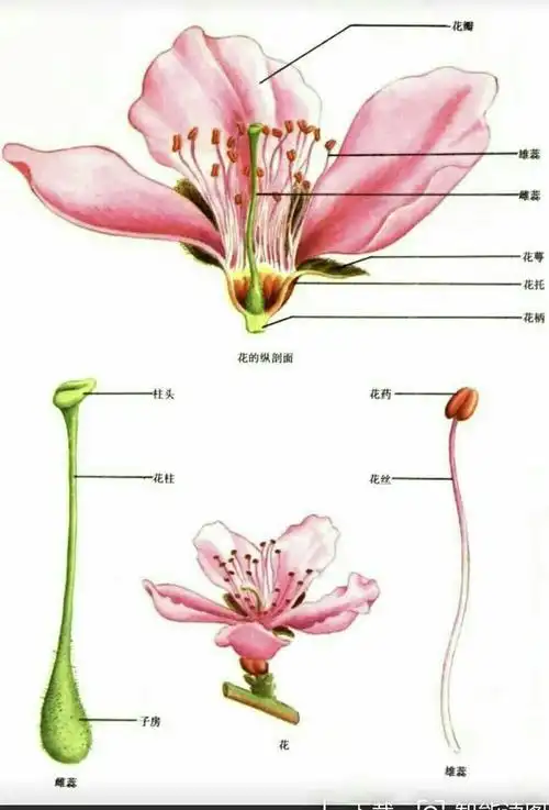丰润园之行 - 美篇