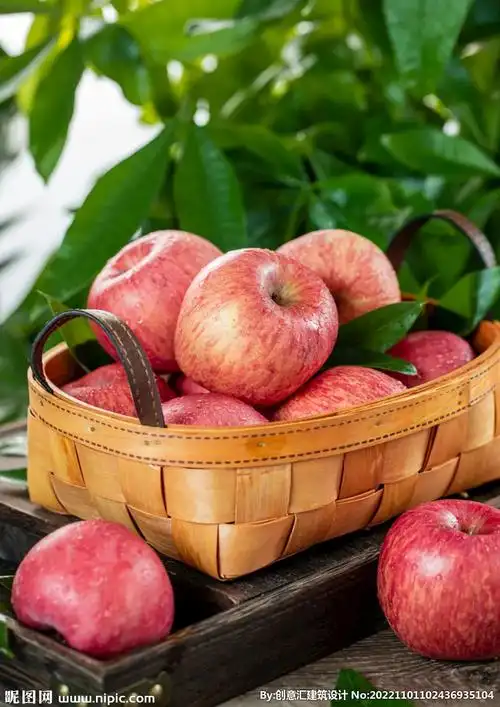 苹果摄影图__水果_生物世界_摄影图库_昵图网nipic.com