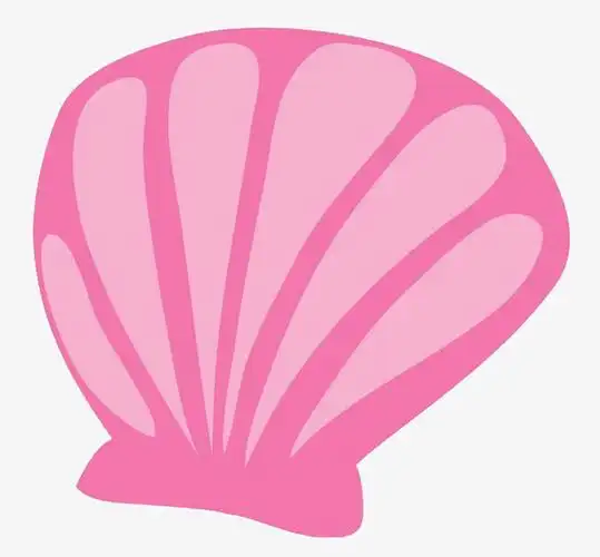 卡通贝壳