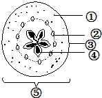 如图是苹果的横切面图,请填写标号所示有关器官或组织的名称.