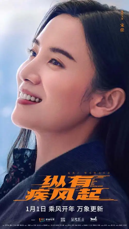电视剧《纵有疾风起》开年即开播 靳东宋佳热血人生不言弃_娱乐_文娱
