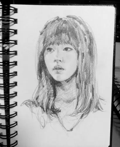 za-雪莉你是光,雪莉你是我们的心脏-崔雪莉铅笔画