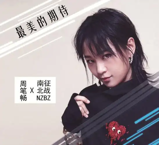 周笔畅唱的最美的期待歌词含义