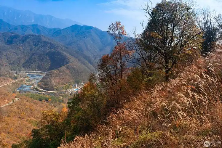 大山里的秋景风光