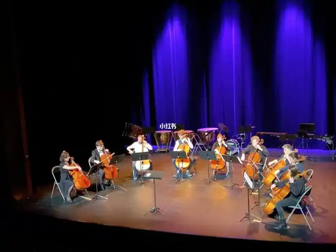 miniconcert小型音乐会
