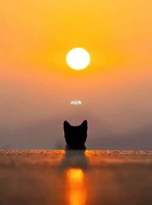 希望未来一个月可以让我顺顺利利的!