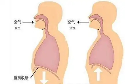 0基础该如何学唱歌?小白也能看懂的入门级唱歌技巧和步骤