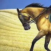 马微信头像【点击鼠标右键下载】