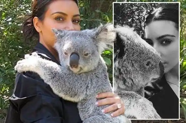 卡戴珊上传与野生鸟的合影,世界动物保护协会痛批:助长偷猎